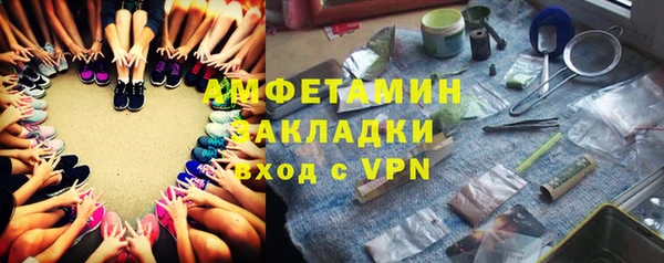 прущие грибы Вязьма