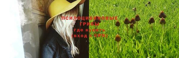 PSILOCYBIN Володарск