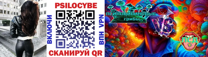 Псилоцибиновые грибы мухоморы  Дубовка 
